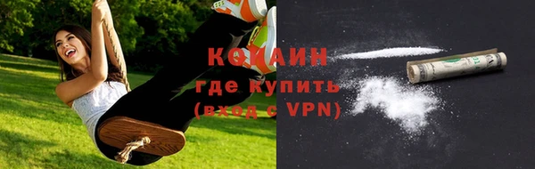 дурь Белая Холуница