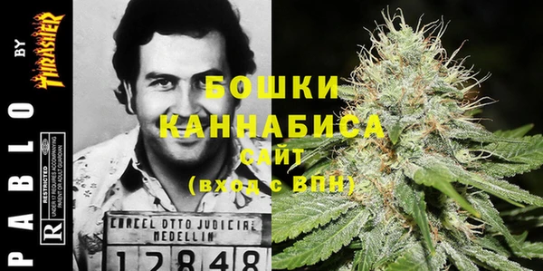 дживик Бородино