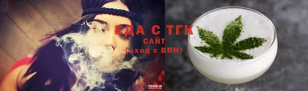 дживик Бородино