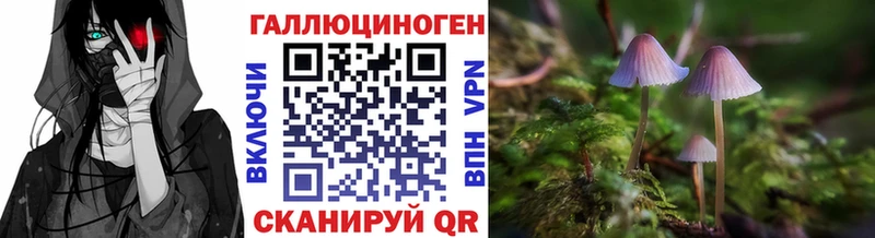 Псилоцибиновые грибы мухоморы  где можно купить   Вязники 