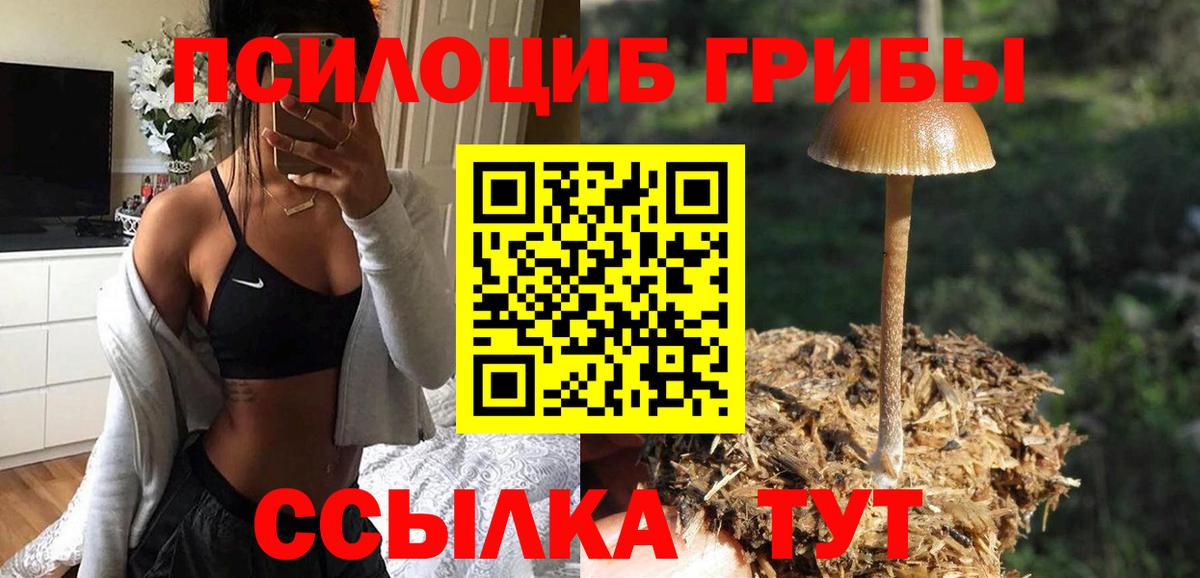 Галлюциногенные грибы Psilocybine cubensis  даркнет сайт  Вязники  Вход с VPN 