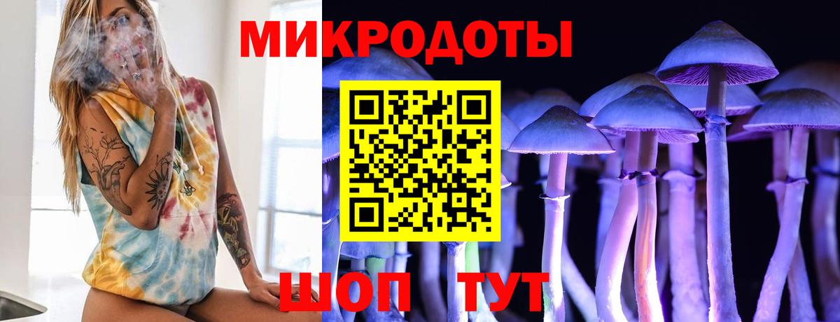 Галлюциногенные грибы Psilocybe Вязники